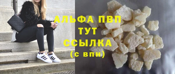 ECSTASY Белокуриха