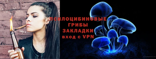 ECSTASY Белокуриха