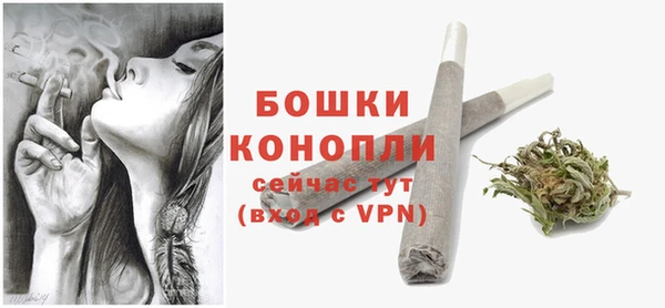ECSTASY Белокуриха