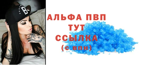 ECSTASY Белокуриха