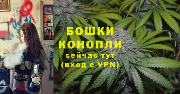 ECSTASY Белокуриха