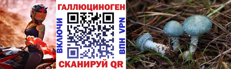 мега вход  Болохово  Псилоцибиновые грибы MAGIC MUSHROOMS 