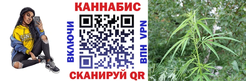 Шишки марихуана Bruce Banner  Болохово 